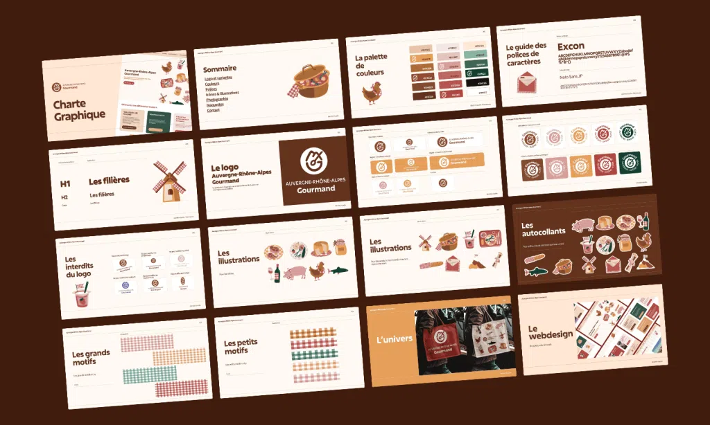Exemple de charte graphique créer par notre agence digitale à Montpellier