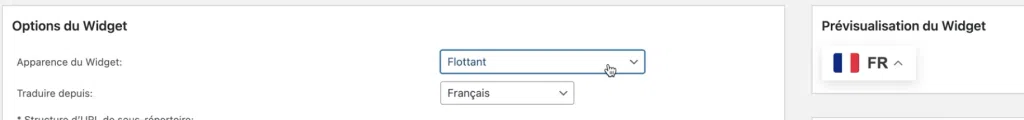 choix apparence du widget de traduction