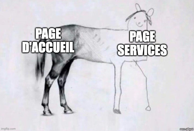 meme d'un cheval mal dessiné pour faire pensée a un site mal fini