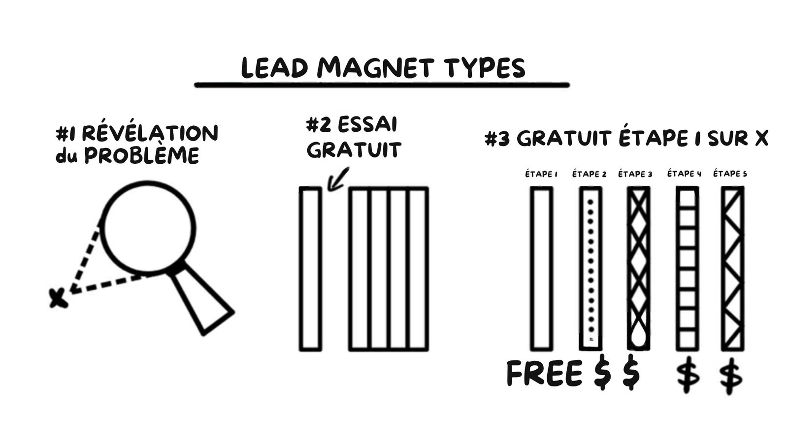 Exemple de comment créer un leadmagnet tiré du livre de alew hormozi
