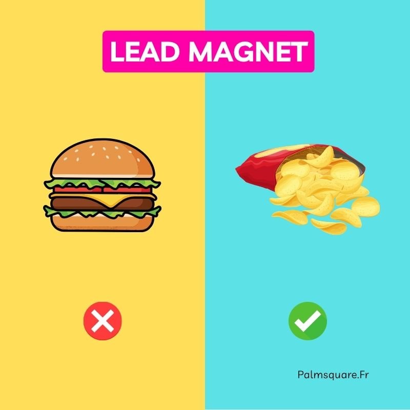 Allégorie pour expliquer quel format utiliser pour un lieu Magnet d'un côté on a un hamburger compliqué long à manger qui prend du temps à être fait et qu'on vend et de l'autre côté on a des chips facile à consommer pour dire que un lit Magnet doit être facile à consomme affaire et coûte plus cher