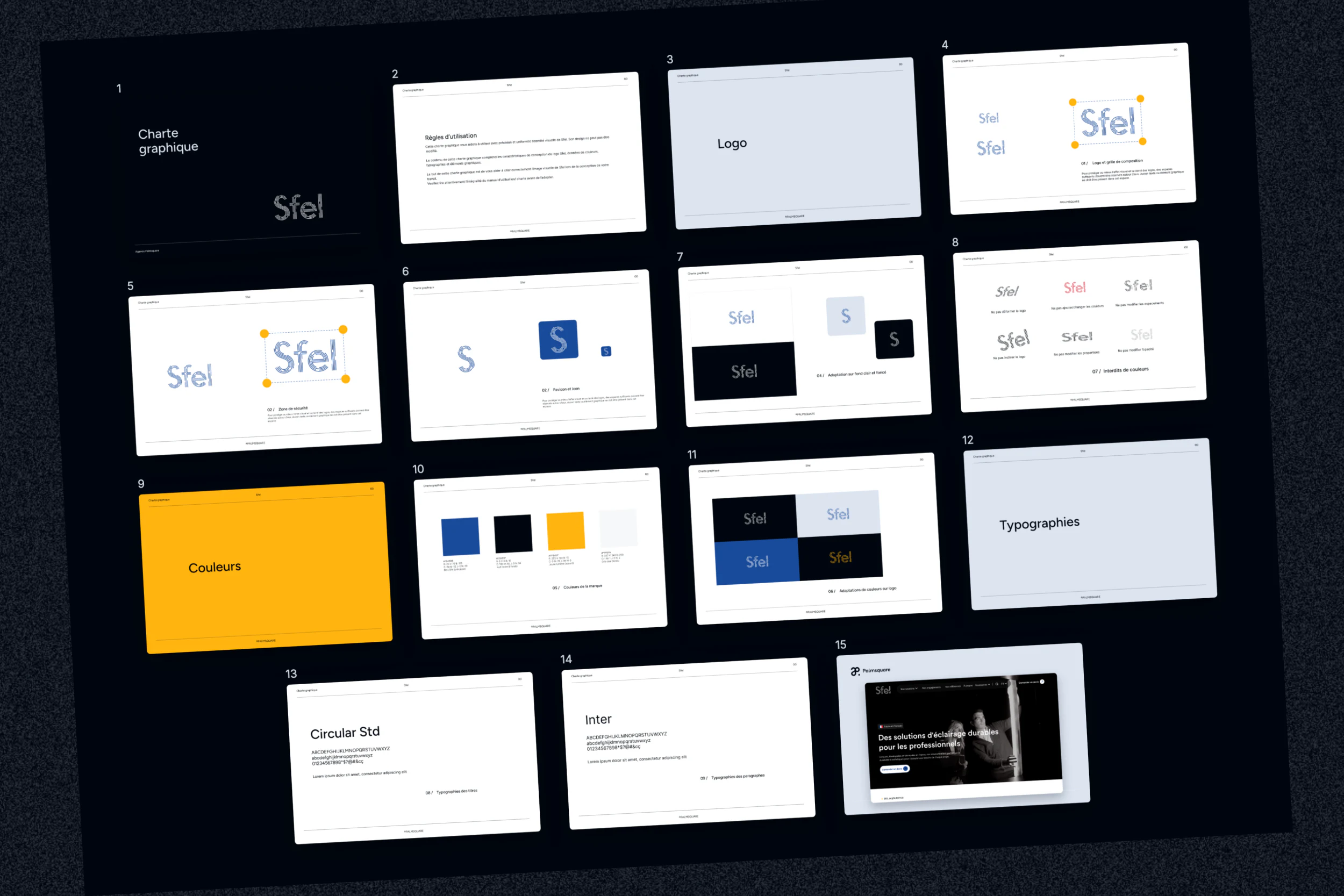 Charte graphique du site Sfel